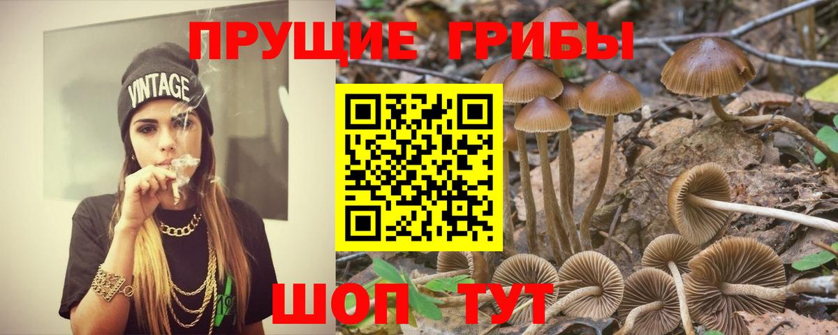 Галлюциногенные грибы Cubensis Советская Гавань