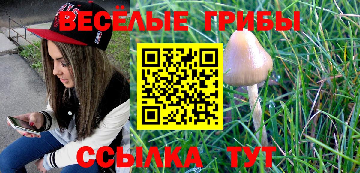 Советская Гавань  Галлюциногенные грибы ЛСД  Вход с VPN 